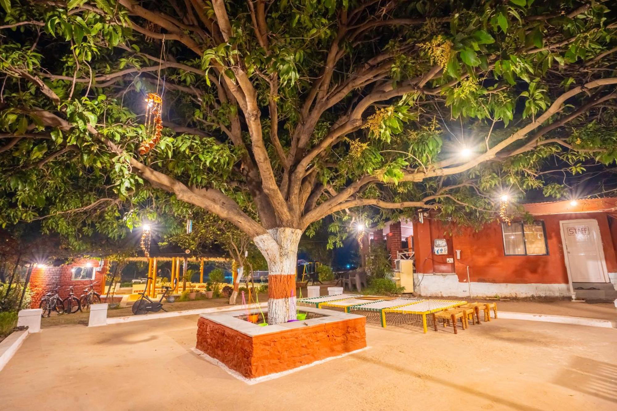 Wow Stayz2 Pachmarhi Foothill Cottages Bagian luar foto