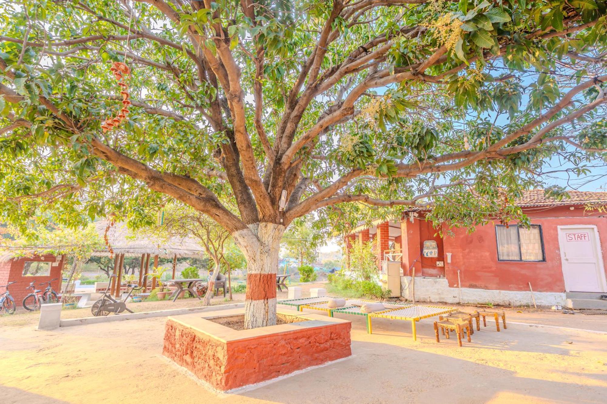 Wow Stayz2 Pachmarhi Foothill Cottages Bagian luar foto